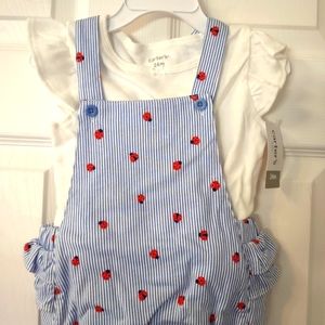 Cute 24mos set